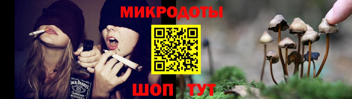 Галлюциногенные грибы прущие грибы Строитель